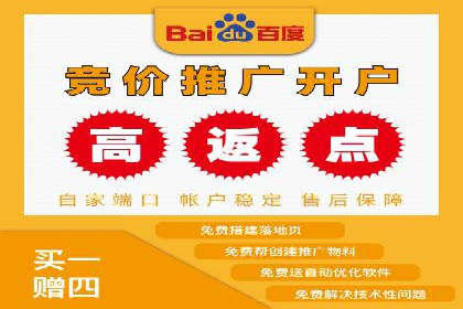 百度竞价广告的投放策略与成功案例分析